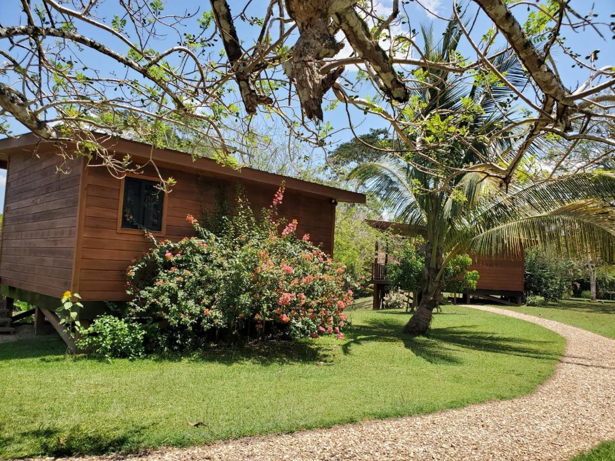 Yumas Riverfront Lodge San Ignacio Esterno foto