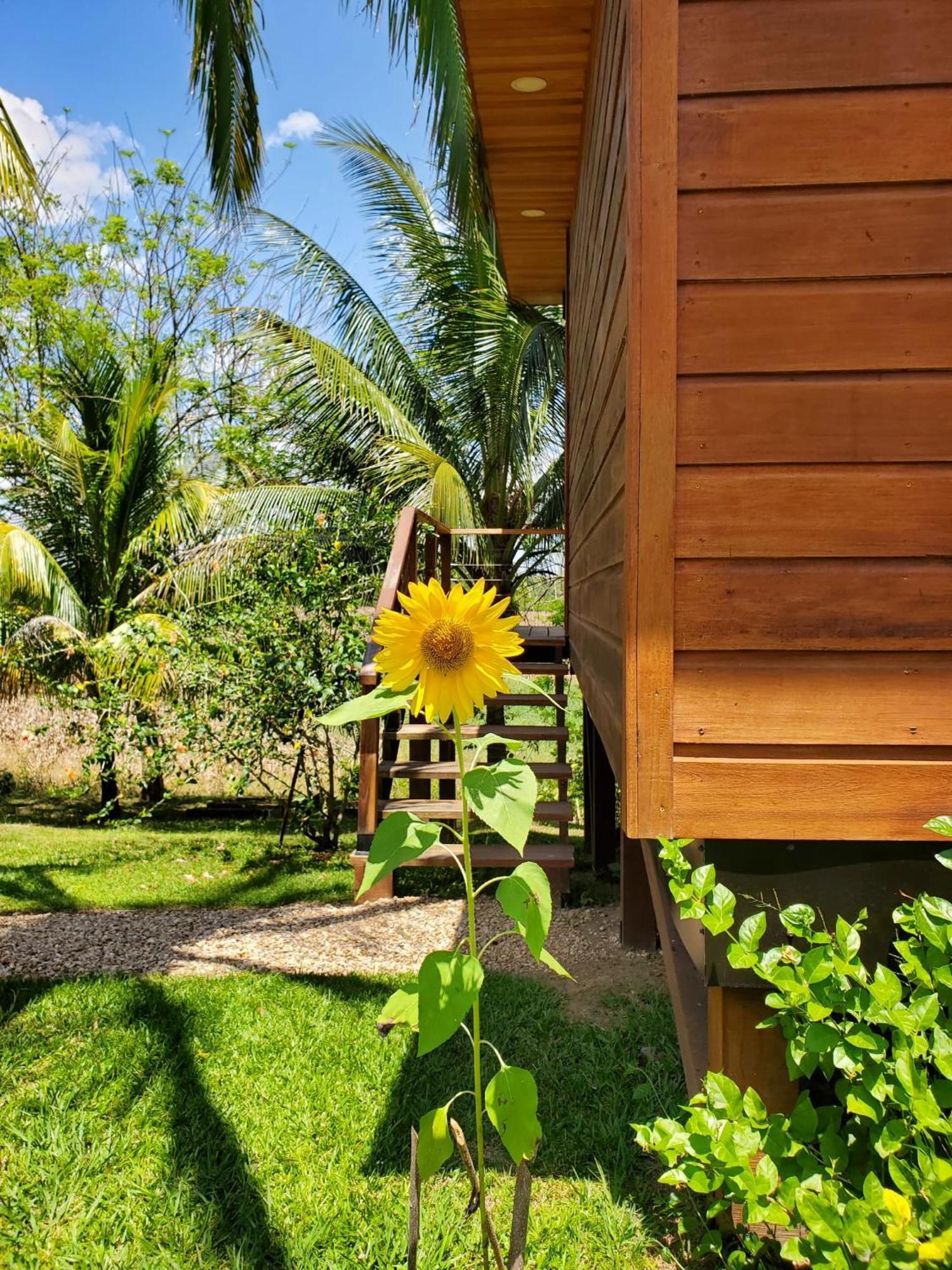 Yumas Riverfront Lodge San Ignacio Esterno foto