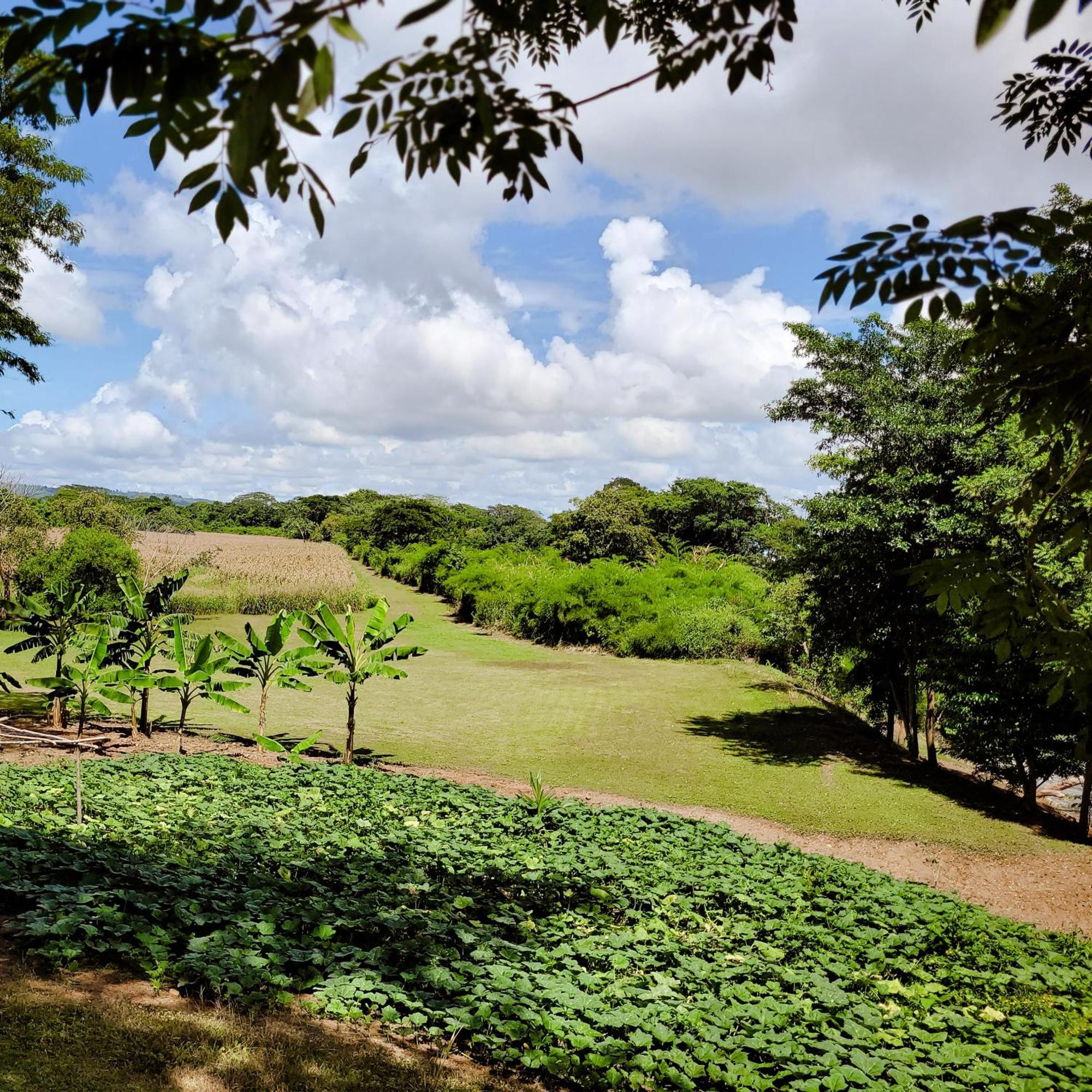 Yumas Riverfront Lodge San Ignacio Esterno foto