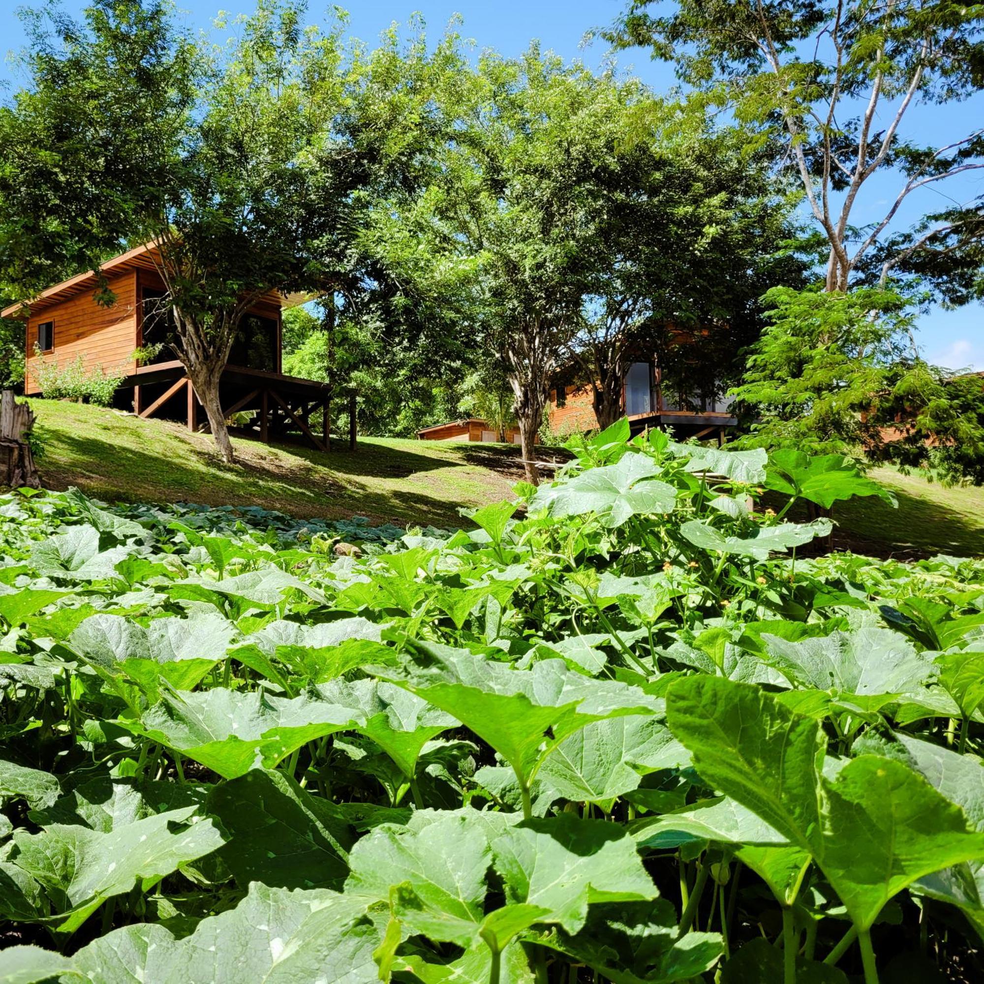 Yumas Riverfront Lodge San Ignacio Esterno foto